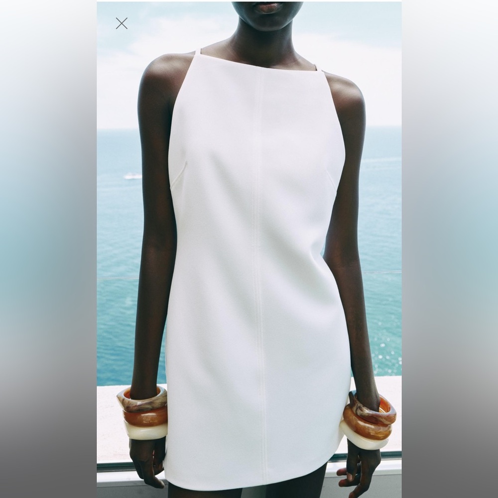 NWOT Zara Mini Dress - XS